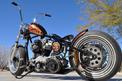 Creative & unique motorcycle painting can be found on the web site of Gary The Local Brush