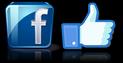 Connect toGary The Local Brush FACEBOOK page & click on the "LIKE"  button