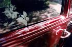 Detail of the Sandblasted glass.