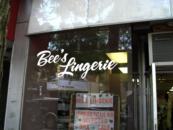 VINYL LETTERING ON STORE FRONT WINDOW