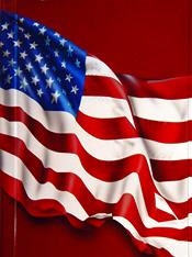 DETAIL of G.C.P.  F.D. Ambulance AIRBRUSHED American flag