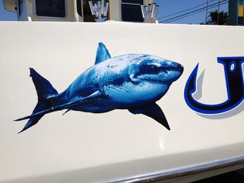 DETAIL of boat lettered this past summer