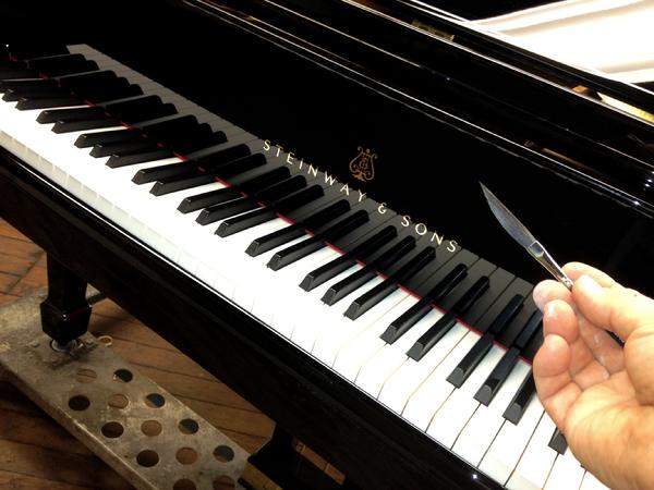 Steinway Piano Logo & Pinstriping Brush